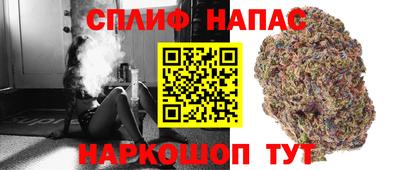 спайс Моздок