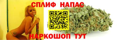 мдпв Можга