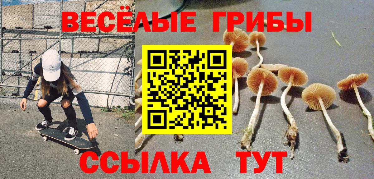 Псилоцибиновые грибы Magic Shrooms  Псилоцибиновые грибы Magic Shrooms  Чернушка  Вход с VPN 