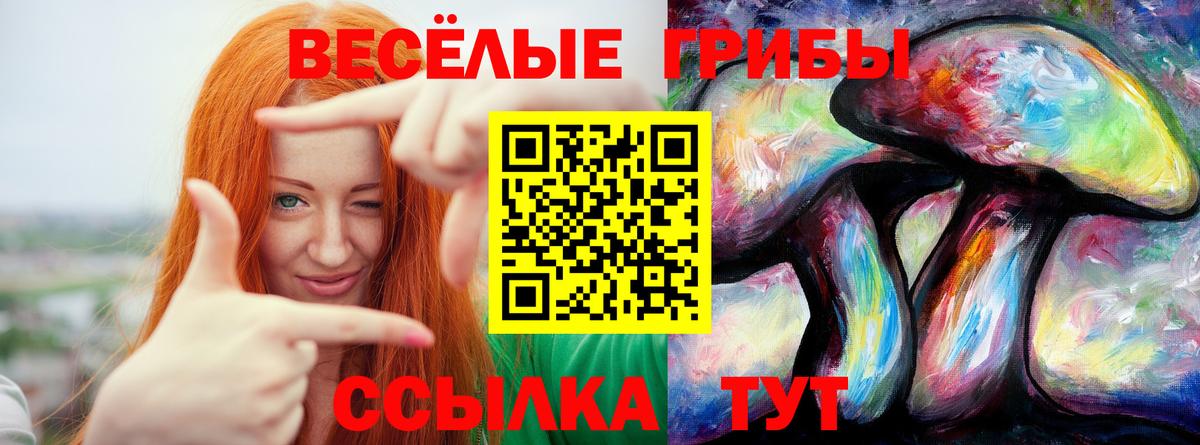 Псилоцибиновые грибы MAGIC MUSHROOMS Чернушка